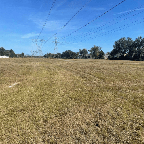 Overgrown ditch before clearing on Tampa commercial property